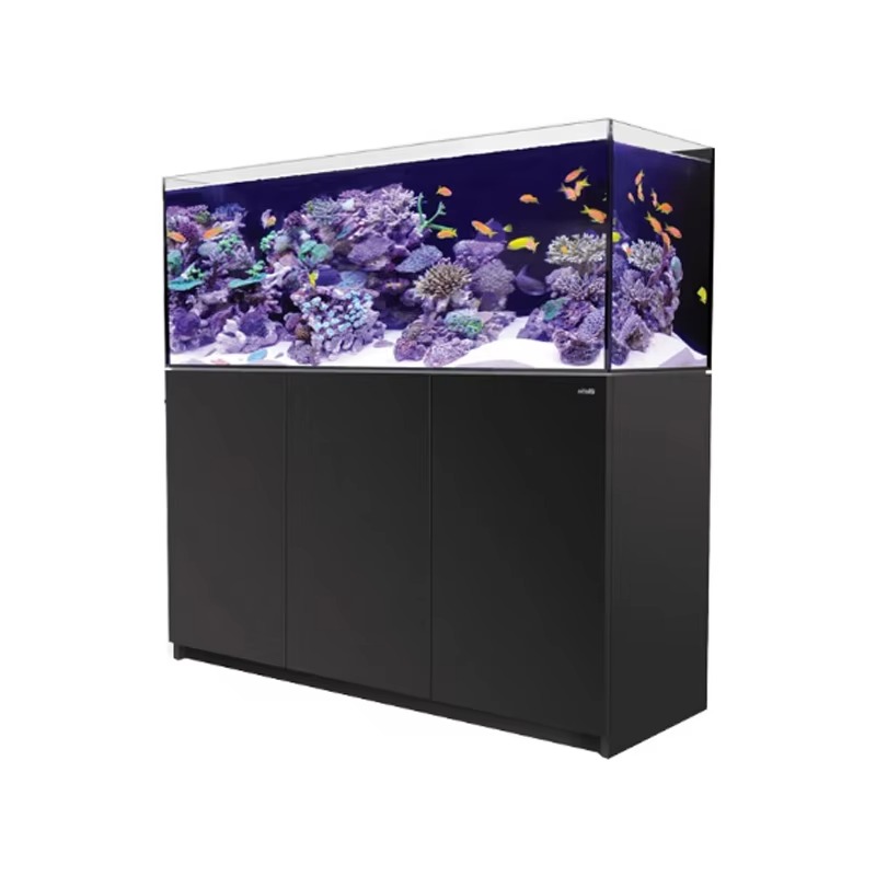 Aquarium Marine Setup - High Quality Rimless Custom Large 150