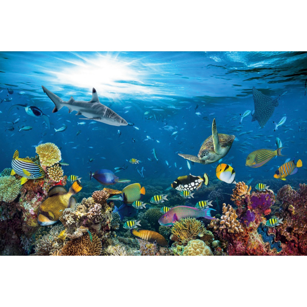 Underwater World Backdrop Unde – обзор и цена Aquarium Marine World