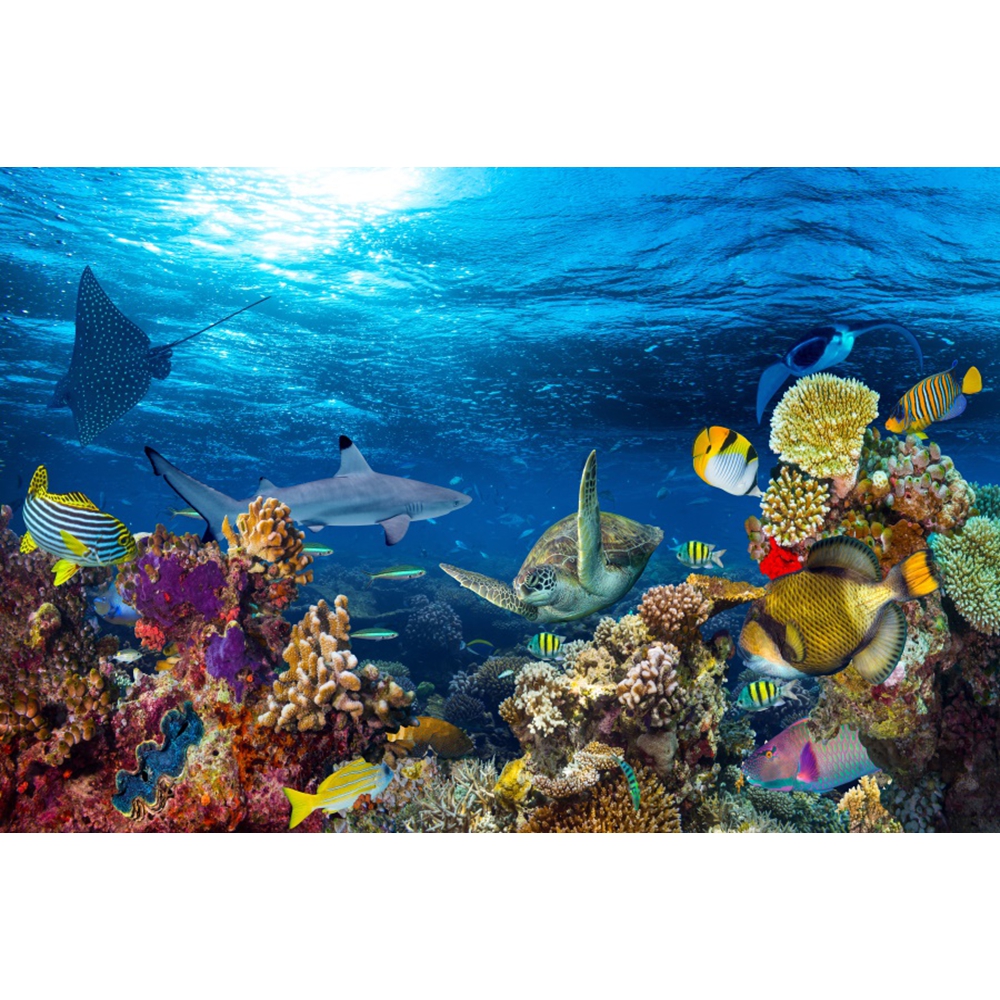 Underwater World Backdrop Unde – обзор и цена Aquarium Marine World