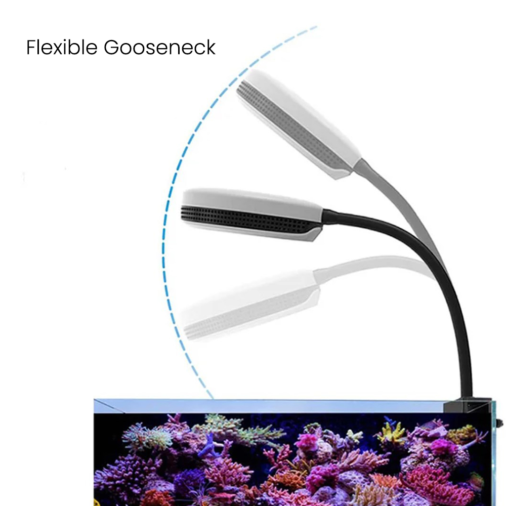 Spectra SP20 20W Aquarium LED  – обзор и цена Marine Aquarium Led