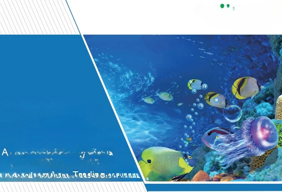 New Design Protein Skimming Aq – обзор и цена Marine Aquarium Design