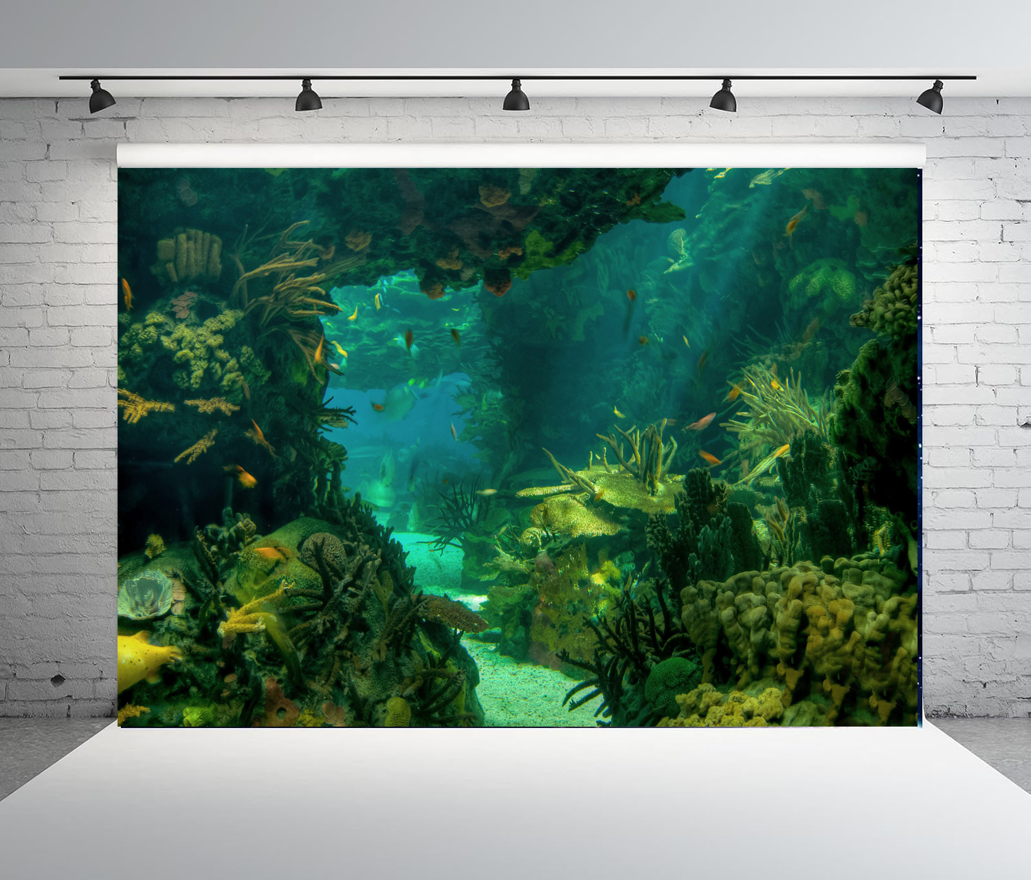 Under Sea Seabed World Photogr – обзор и цена Aquarium Marine World
