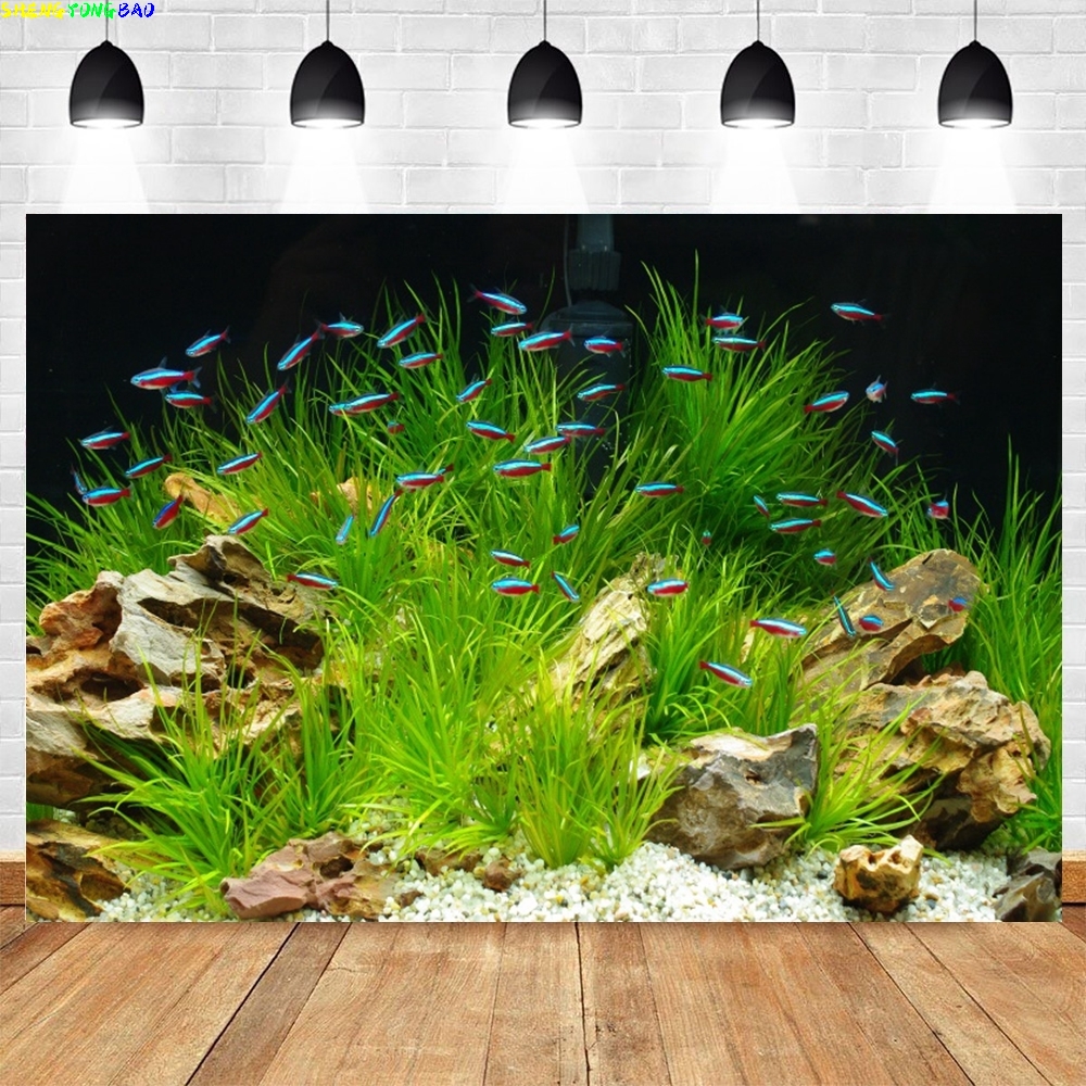 Under Sea Seabed World Photogr – обзор и цена Aquarium Marine World