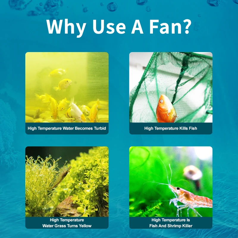 Jebao Jecod ACF Series Aquariu – обзор и цена Marine Aquarium Uk