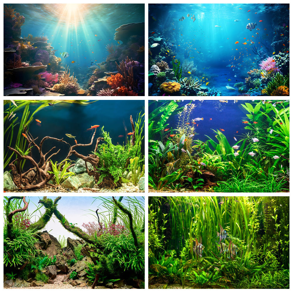 Under Sea Seabed World Photogr – обзор и цена Aquarium Marine World