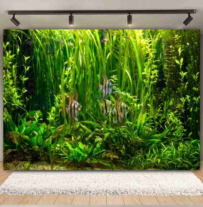 Under Sea Seabed World Photogr – обзор и цена Aquarium Marine World