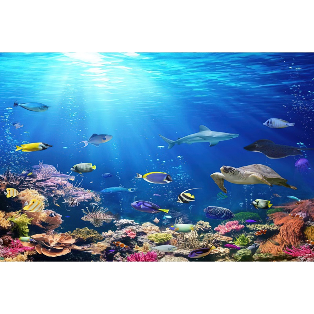 Under Sea Seabed World Backdro – обзор и цена Aquarium Marine World