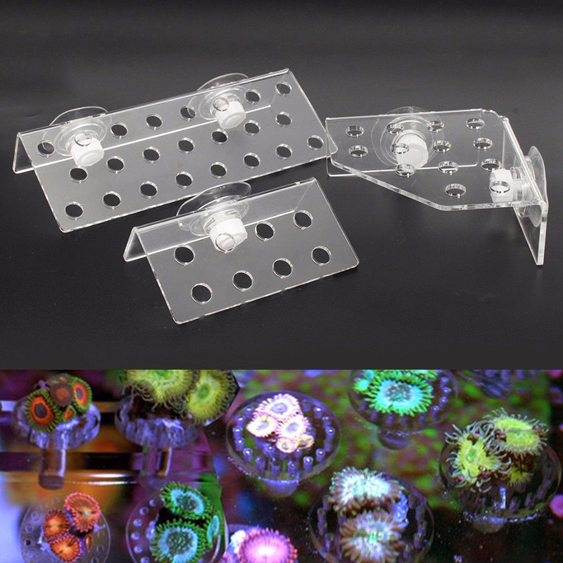 Coral Frag Rack SPS Acrylic Ma – обзор и цена Marine Aquarium Design