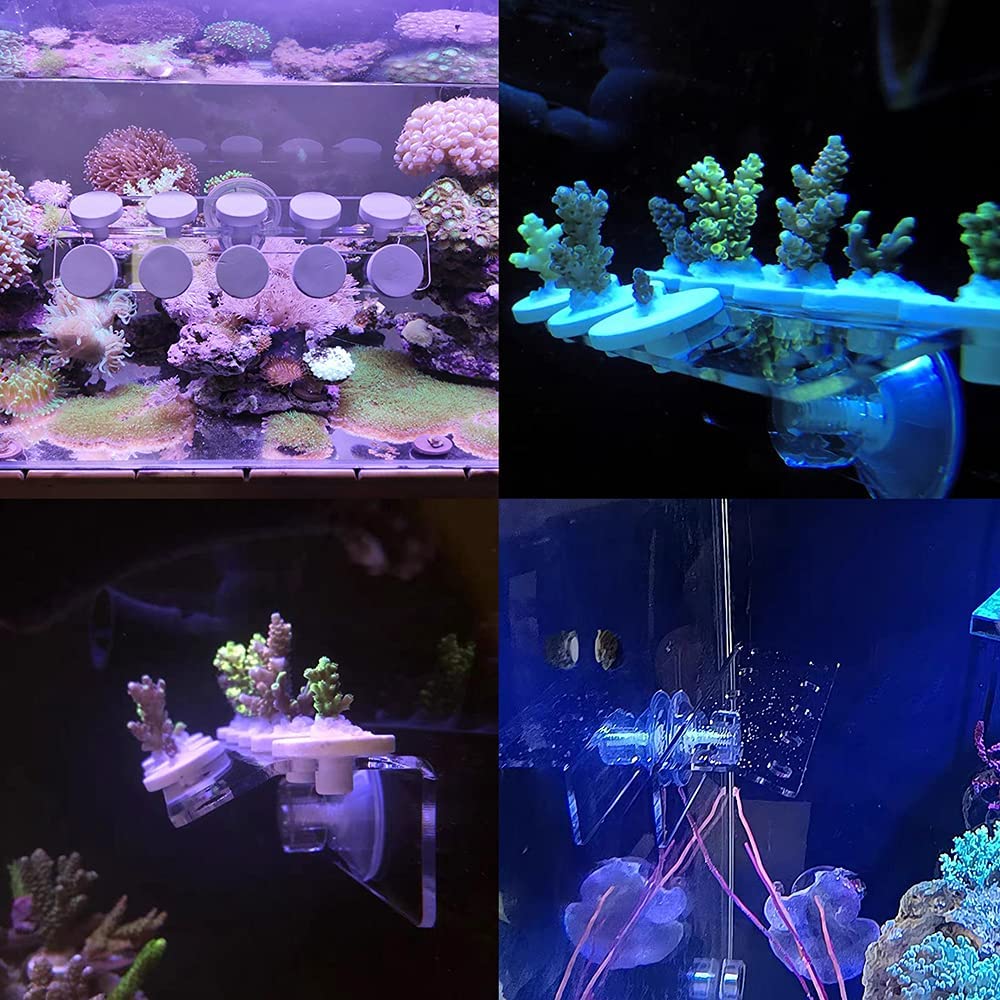 Coral Frag Rack SPS Acrylic Ma – обзор и цена Marine Aquarium Design
