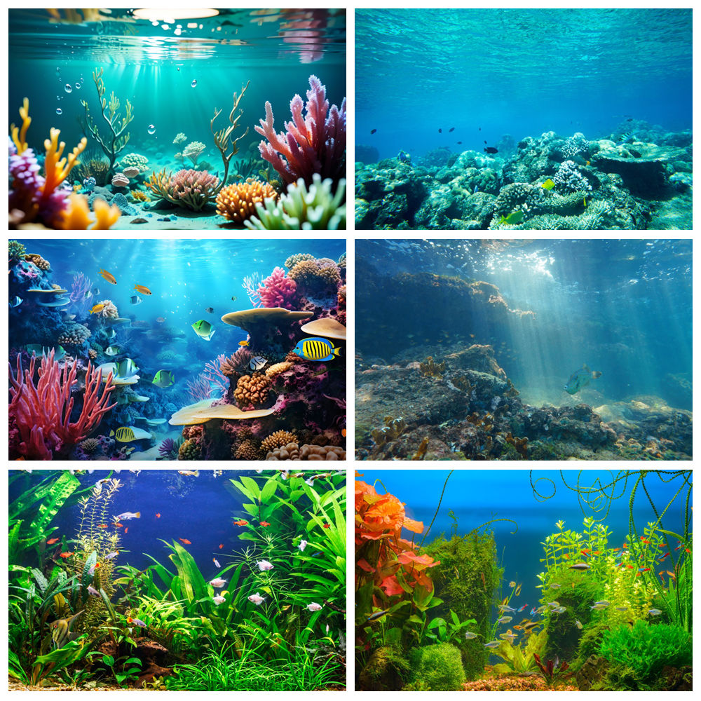Underwater World Seabed Photog – обзор и цена Aquarium Marine World