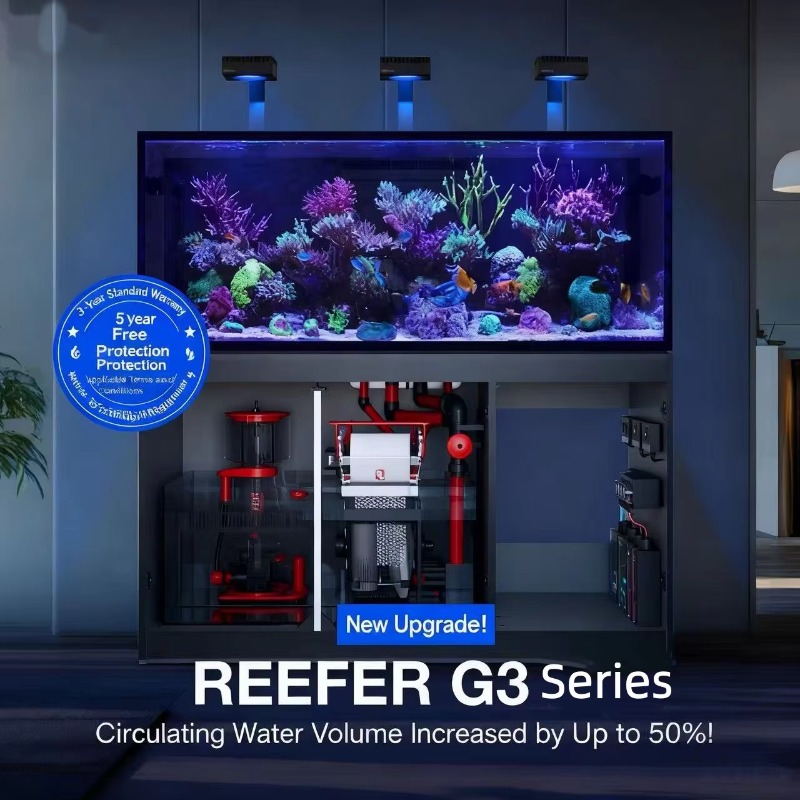 High Quality Rimless Custom La – обзор и цена Aquarium Marine Setup