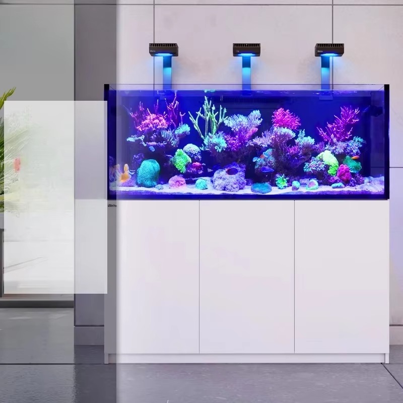 High Quality Rimless Custom La – обзор и цена Aquarium Marine Setup