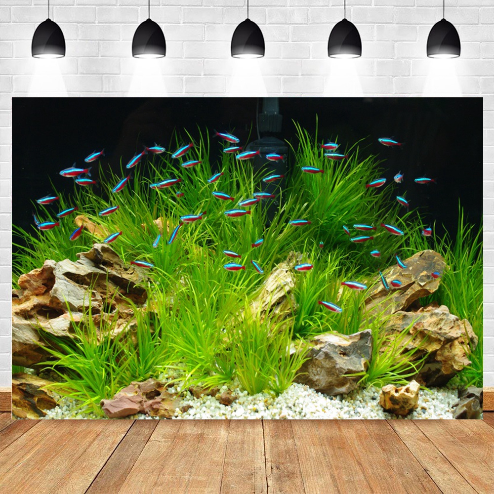 Under Sea Seabed World Photogr – обзор и цена Aquarium Marine World