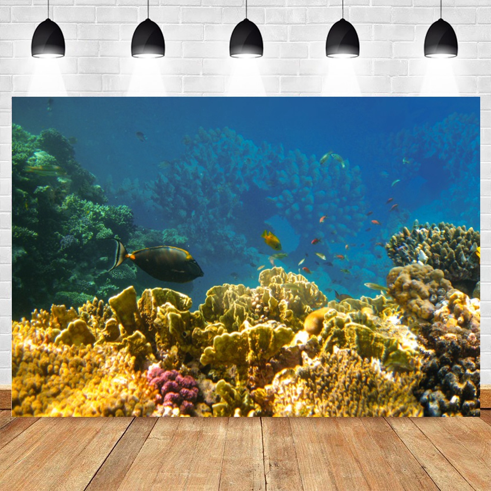 Under Sea Seabed World Photogr – обзор и цена Aquarium Marine World